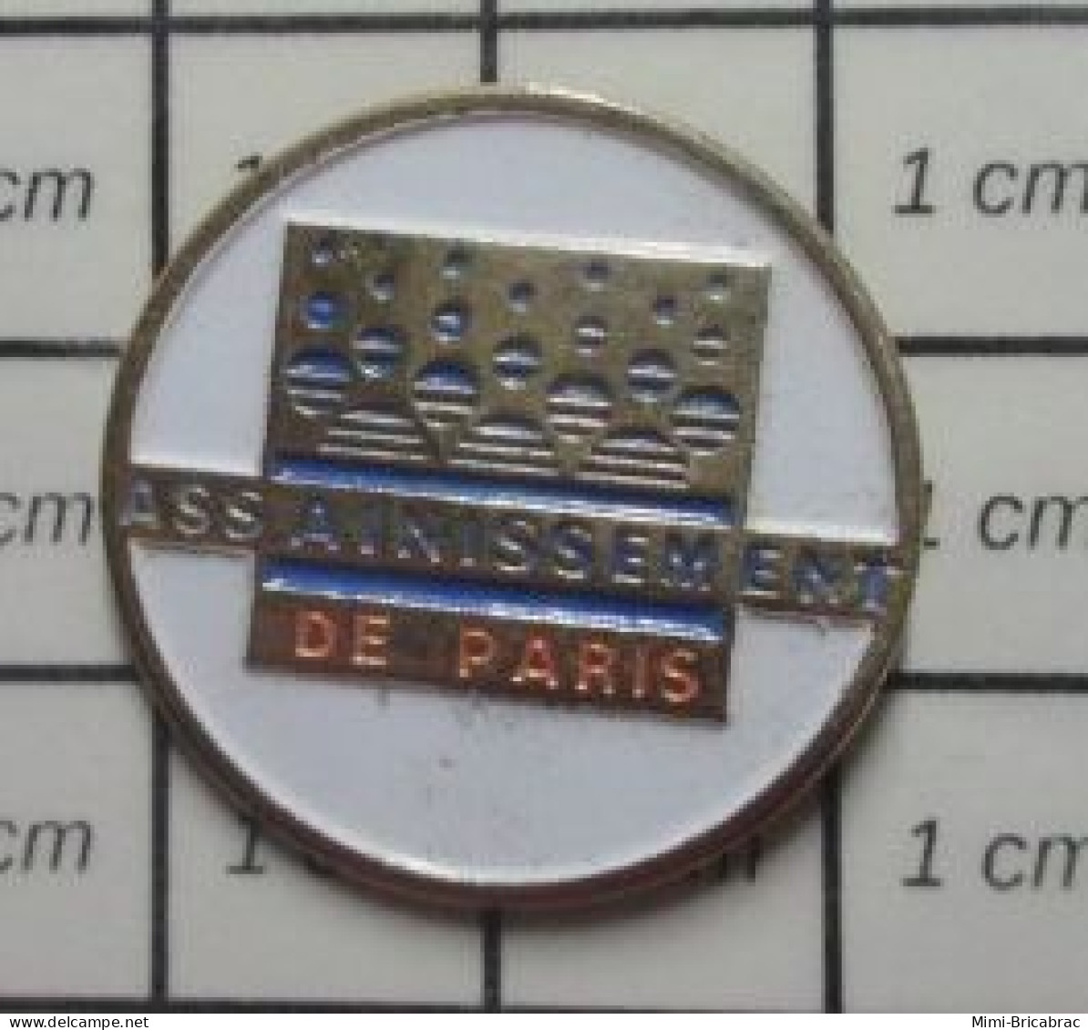 810H  Pin's Pins / Beau Et Rare / ADMINISTRATIONS / ASSAINISSEMENT DE PARIS - Amministrazioni