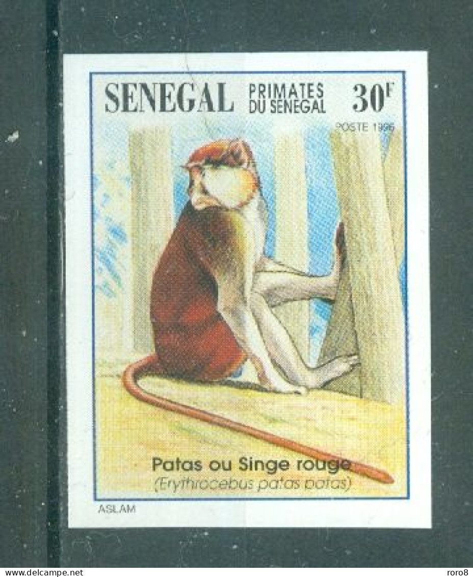 REPUBLIQUE DU SENEGAL - N°1194 Sans Gomme - Faune. Primates Du Sénégal. - Apen