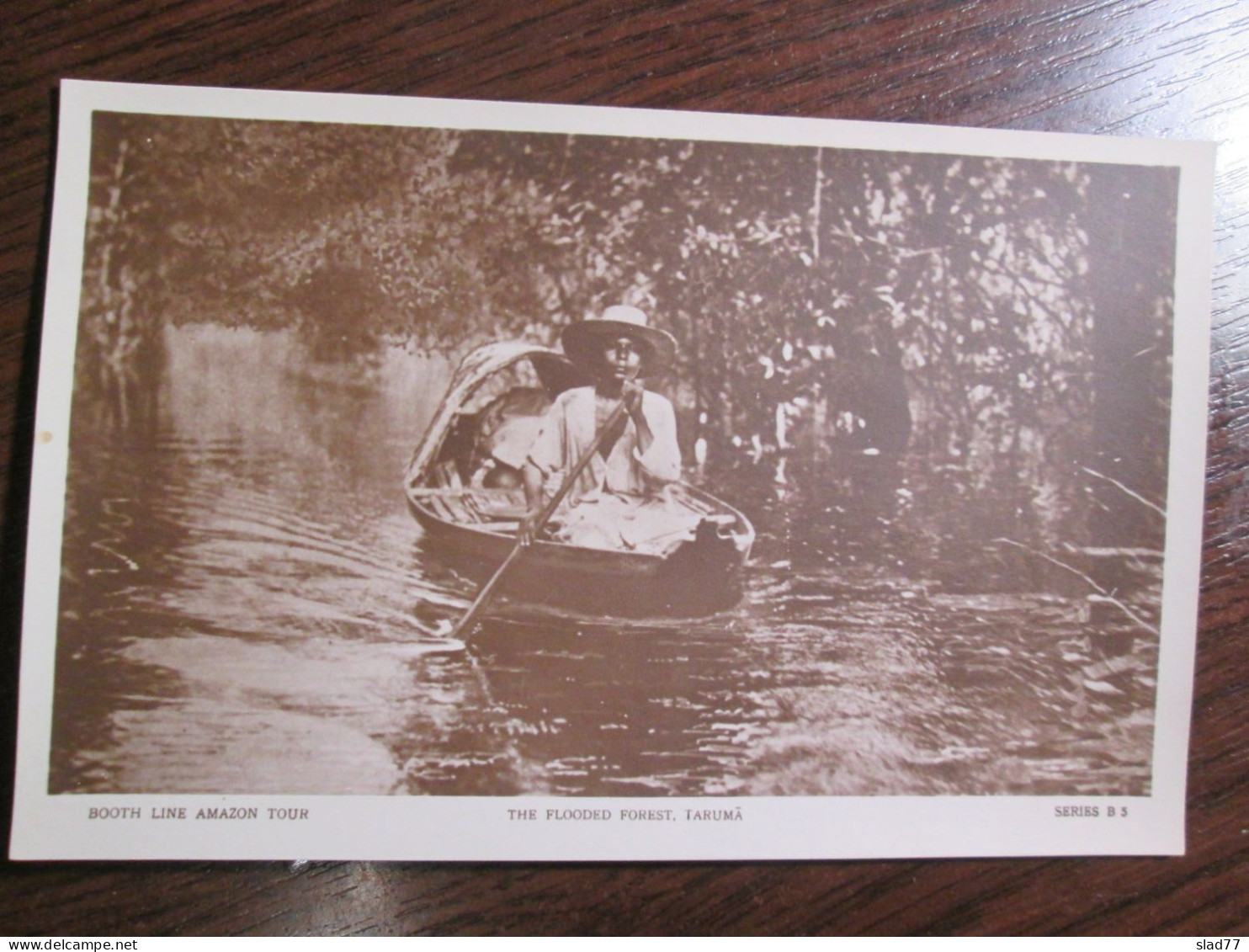 Booth Line Amazon Tour - The Flooded Forest Of Taruma - Sonstige & Ohne Zuordnung