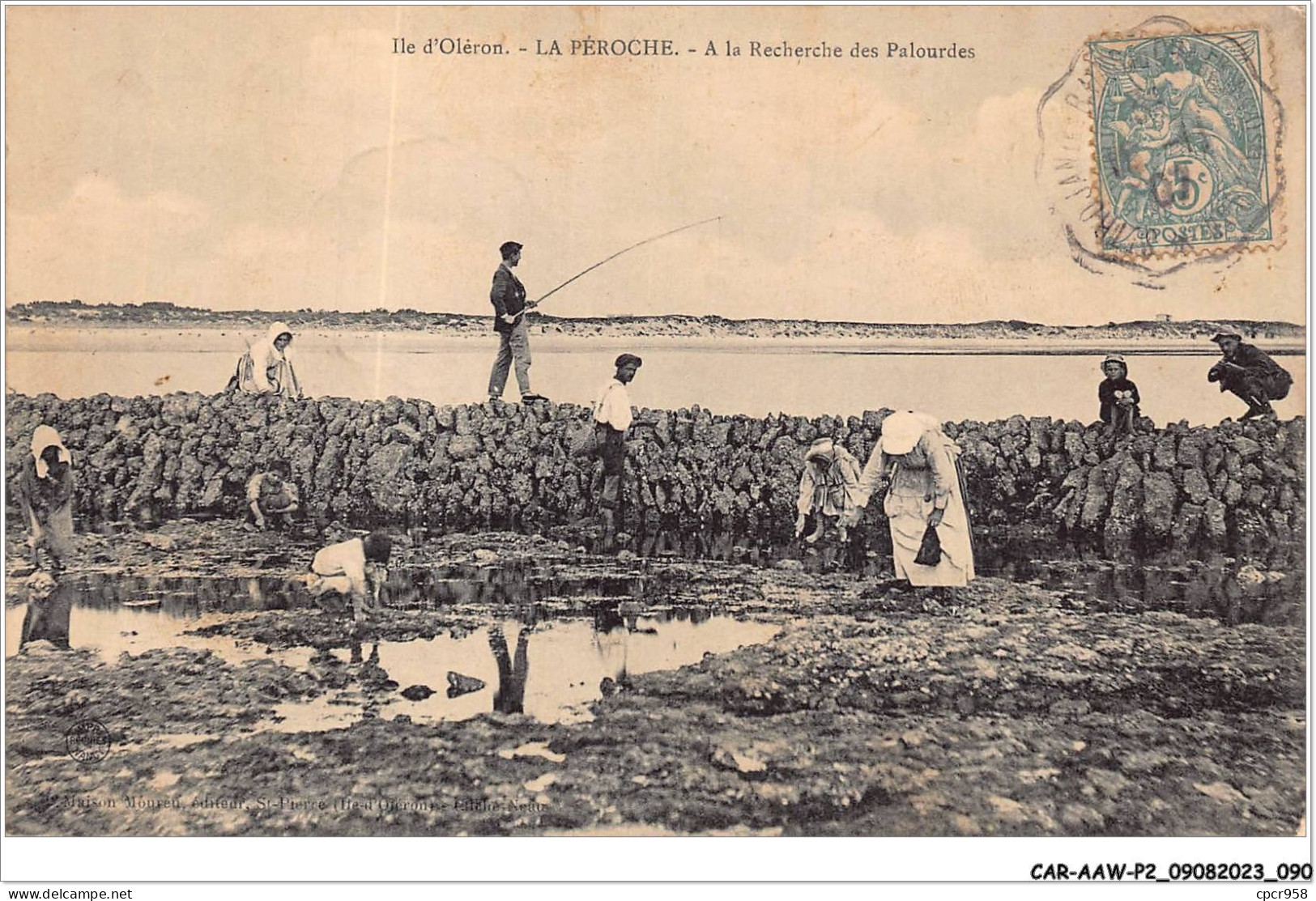 CAR-AAWP2-17-0124 - ILE D'OLERON - La Péroche - A La Recherche Des Palourdes - Ile D'Oléron