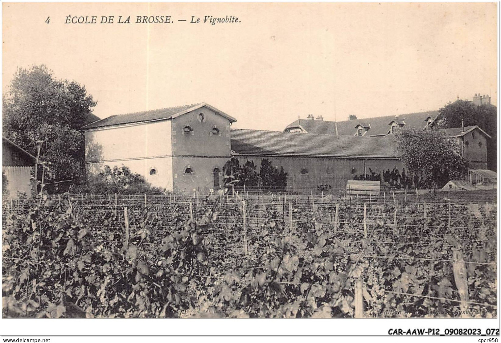 CAR-AAWP12-89-0954 - ECOLE DE LA BROSSE - Le Vignoblte - Avallon