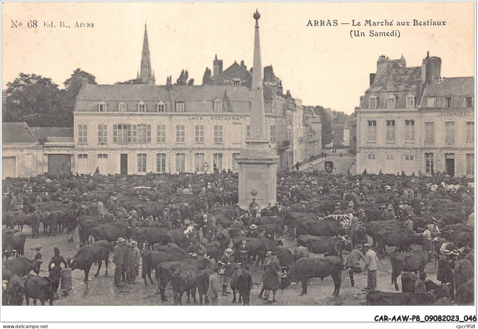 CAR-AAWP8-62-0591 - ARRAS - Le Marché Aux Bestiaux - Arras