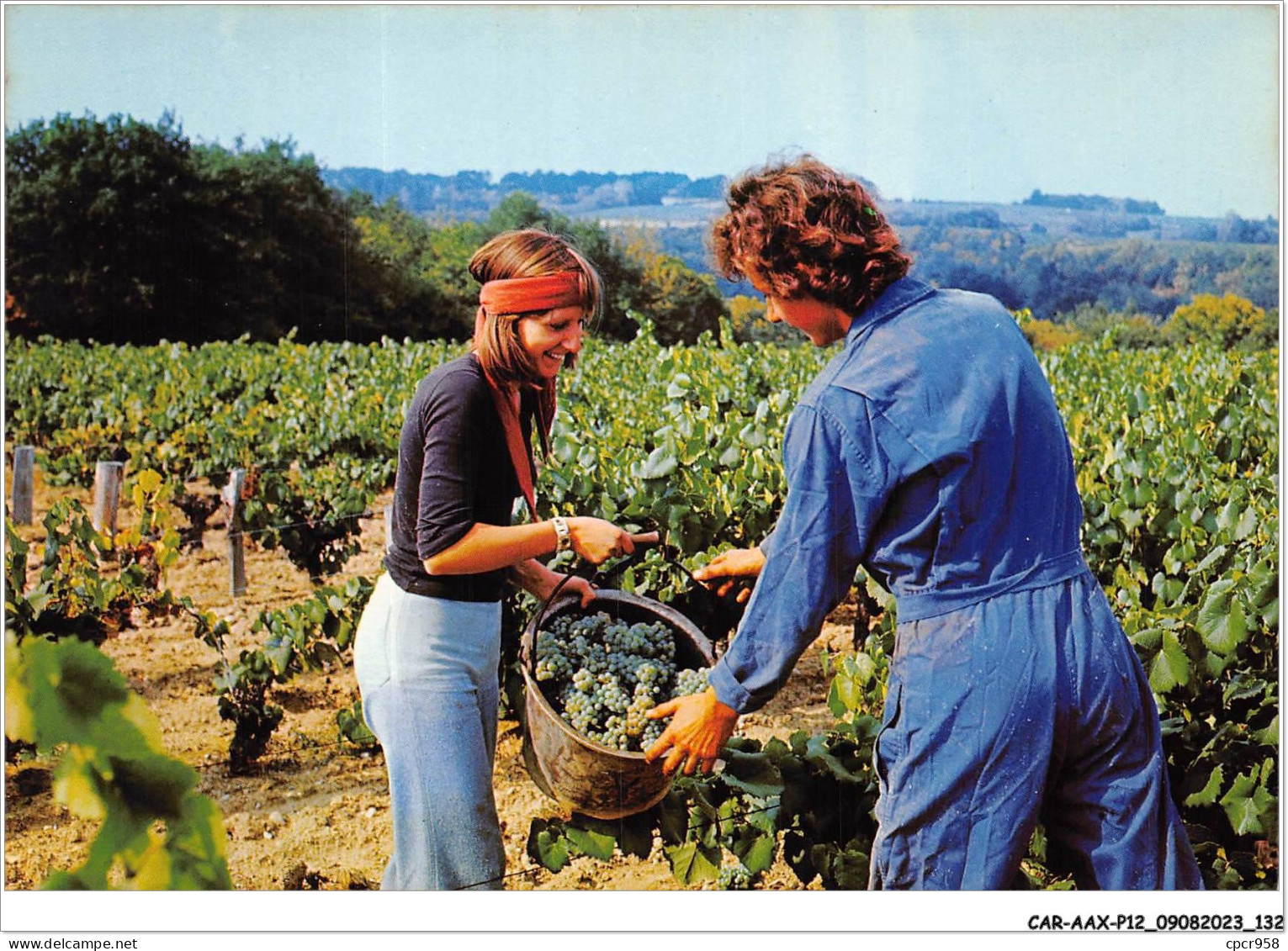 CAR-AAX-P12-79-0934 - AGRICULTURE - VENDANGES - Andere & Zonder Classificatie