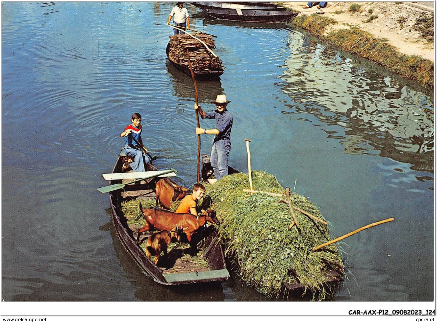 CAR-AAX-P12-79-0930 - Dans La Venise Verte  - Des Barques Se Suivent Pleines De Fourrage - De Bois Et Meme Parfois D'ani - Other & Unclassified