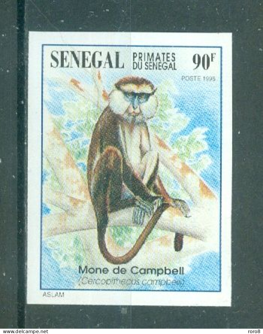 REPUBLIQUE DU SENEGAL - N°1195 Sans Gomme Non Dentelé - Faune. Primates Du Sénégal. - Affen