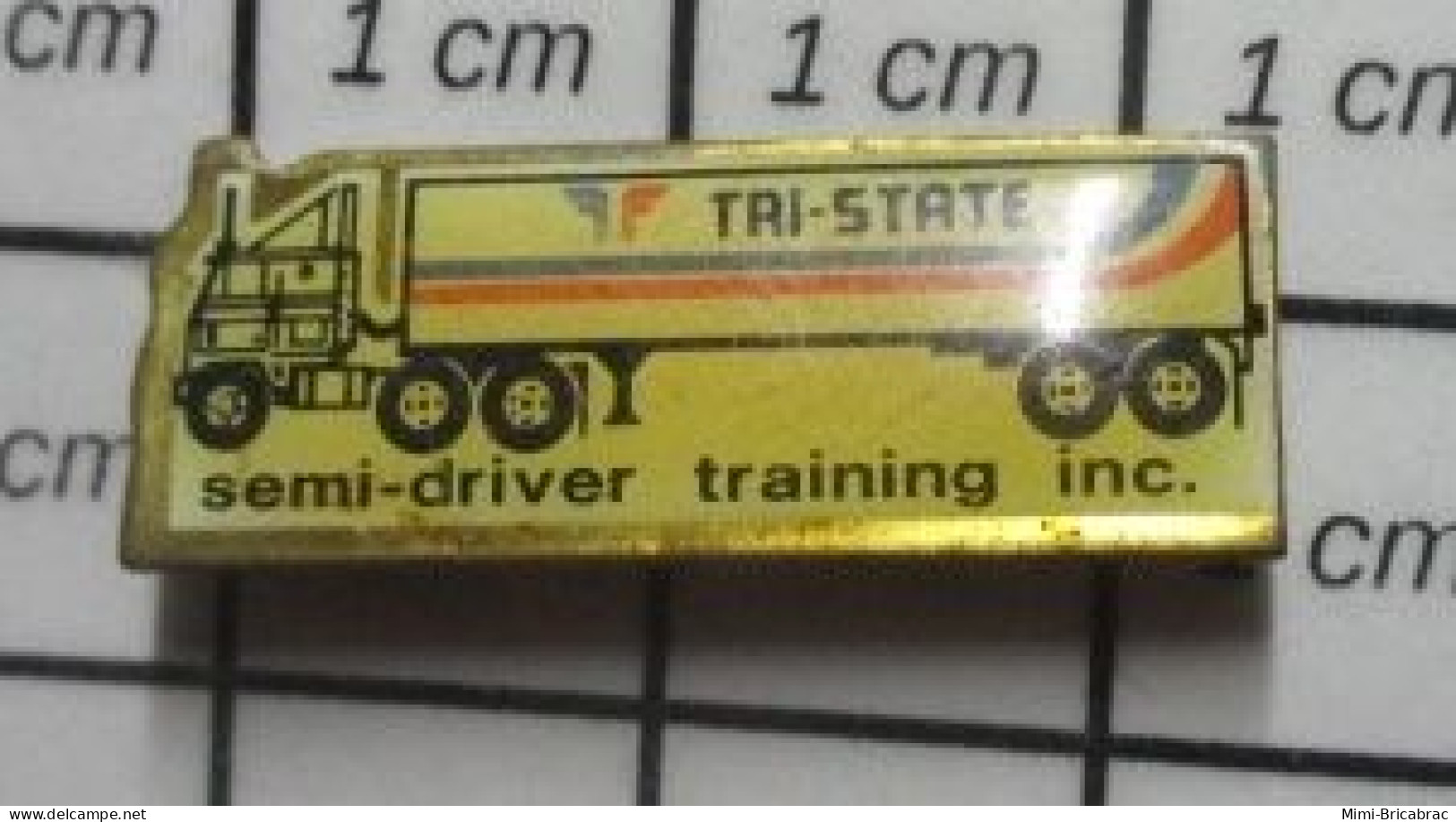 SP09  Pin's Pins / Beau Et Rare / TRANSPORTS / CAMION ROUTIER SEMI-DRIVER TRAINING INC. - Transports