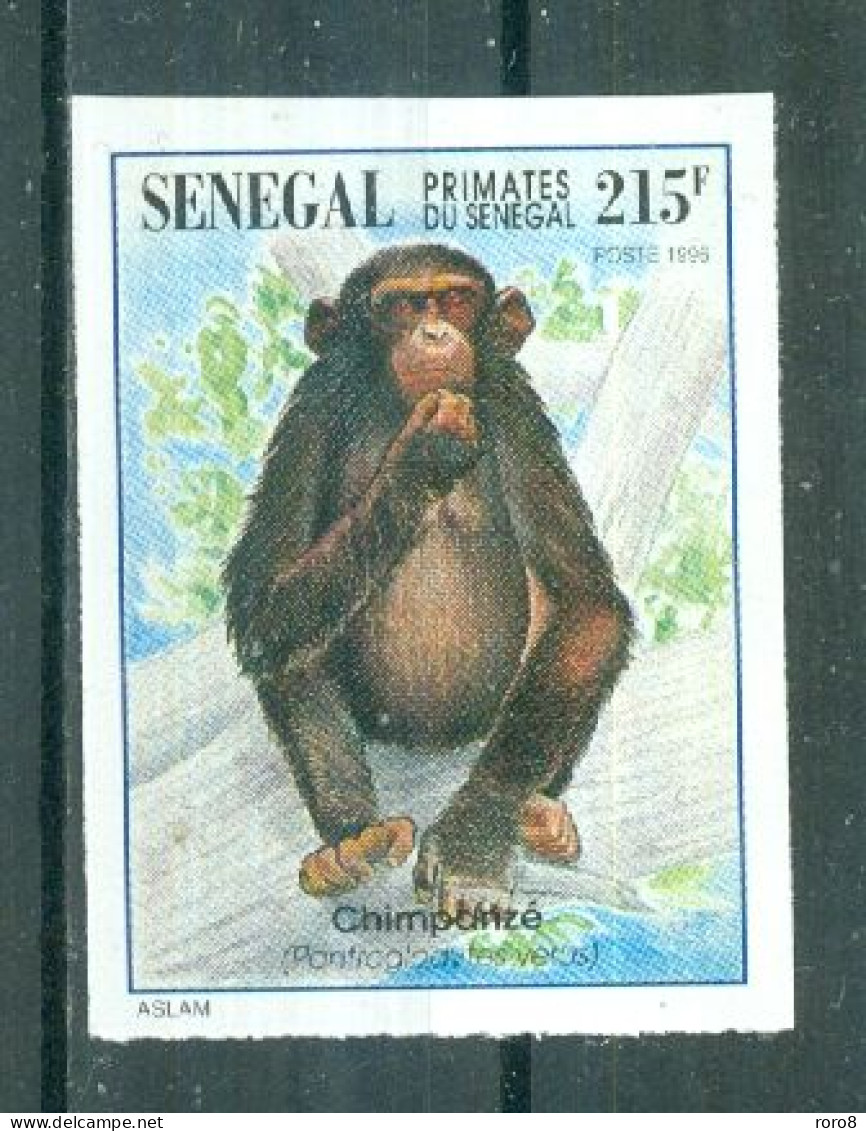 REPUBLIQUE DU SENEGAL - N°1196 Sans Gomme Non Dentelé - Faune. Primates Du Sénégal. - Monkeys