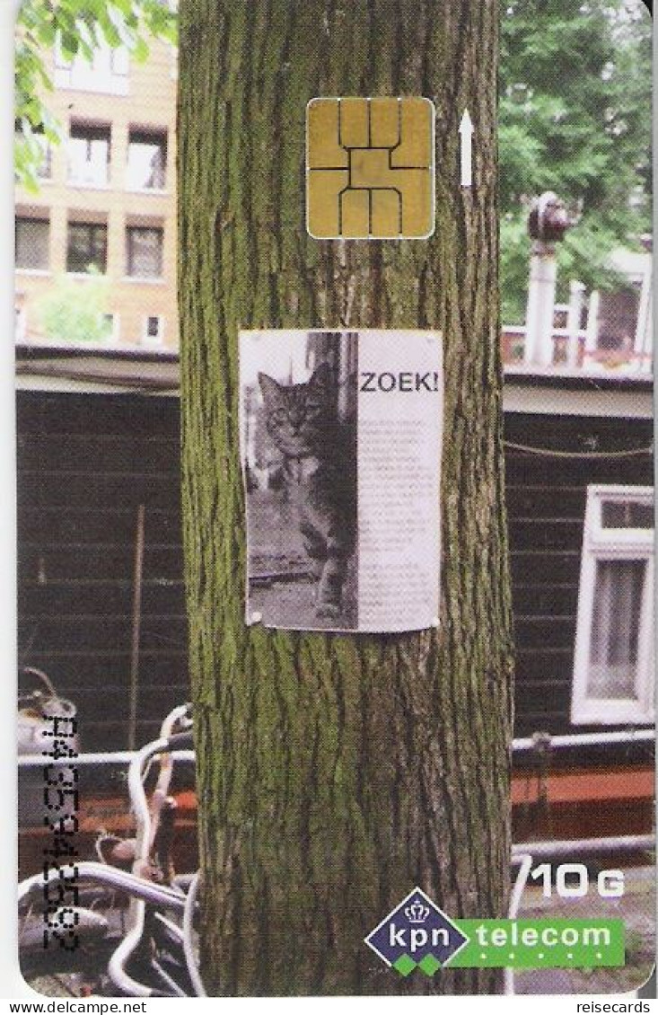 Netherlands: Kpn Telecom - 1997 Mens En Huisdier, Zoek! - Public