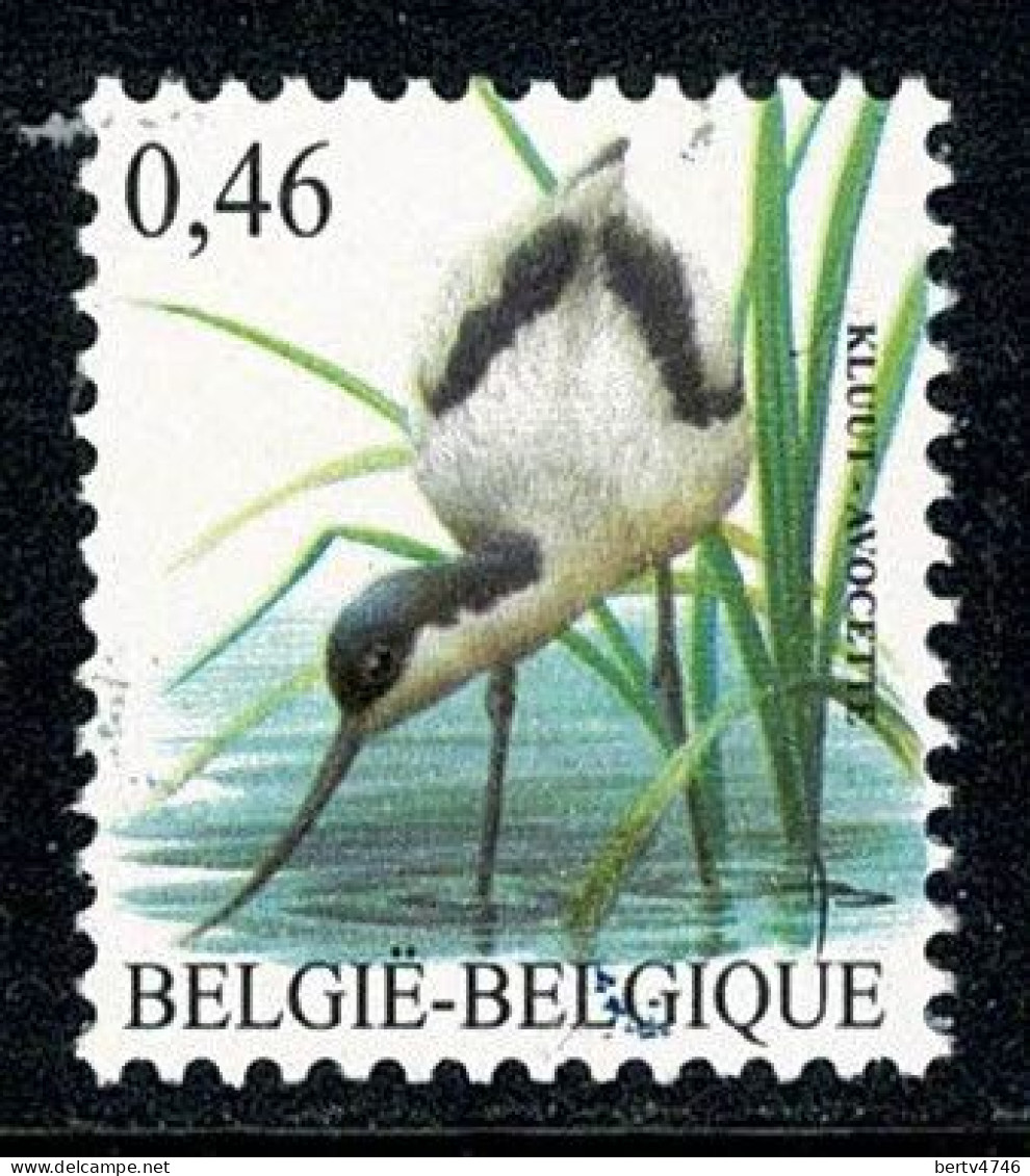 Belg. 2006 COB/OBP 3479**, Yv 3464** MNH Kluut / Avocette - Unused Stamps