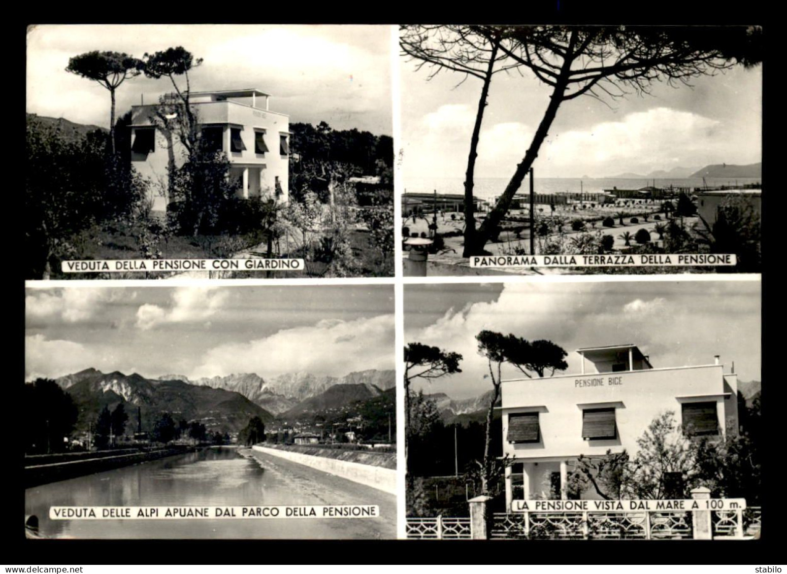 ITALIE - MARINA DI MASSA - PENSIONE BICE - LUNGOMARE A VESPUCCI - Massa