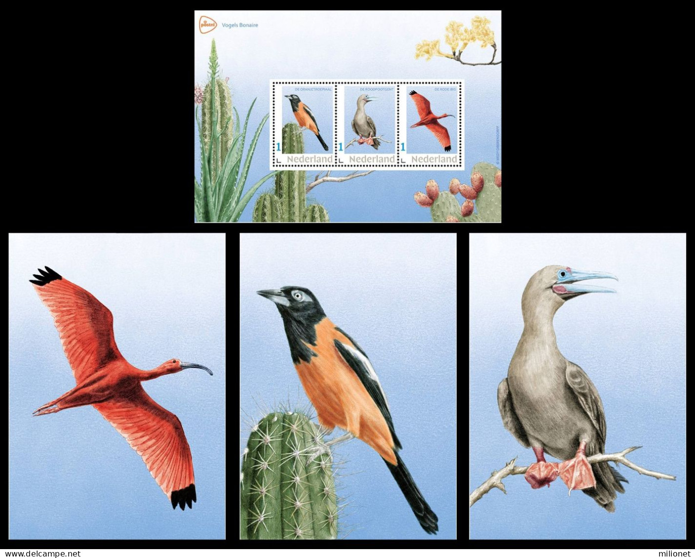 SALE!!! NETHERLANDS PAÍSES BAJOS PAYS BAS 2024 Bonaire Birds Souvenir Sheet + 3 Postcards MNH ** - Altri & Non Classificati