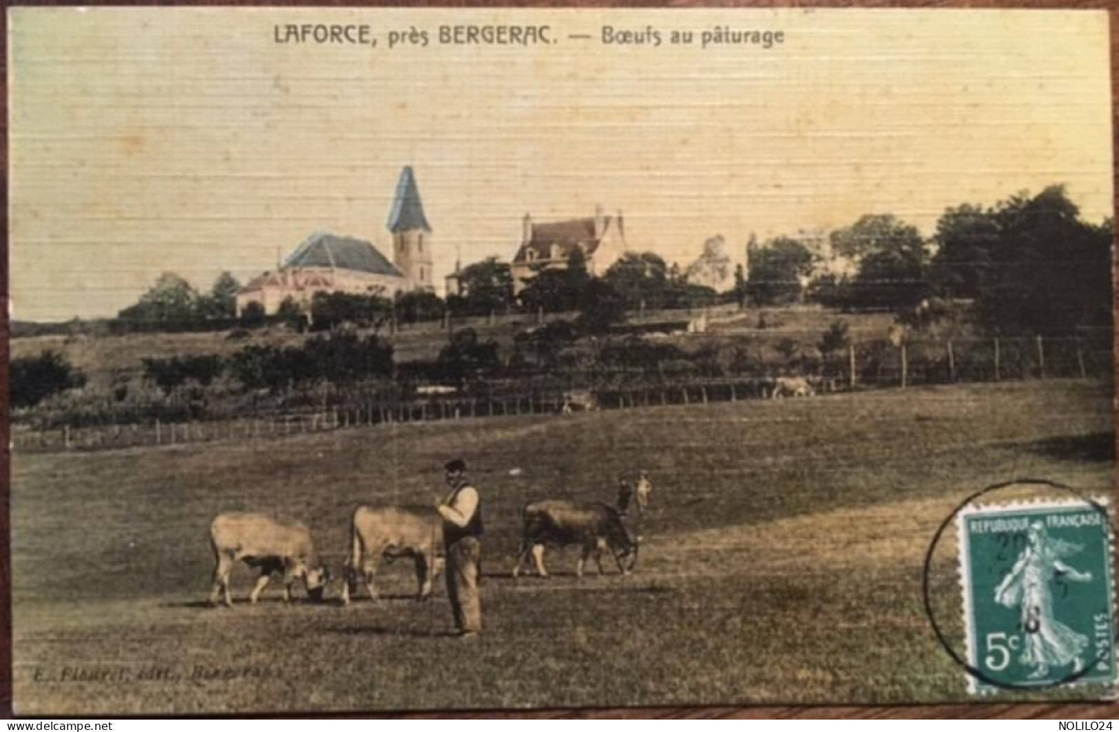 Cpa 24 Dordogne, Colorisée Toilée LA FORCE (LAFORCE), Près Bergerac, Bœufs Au Pâturage, éd Flouret, écrite En 1908 - Other & Unclassified