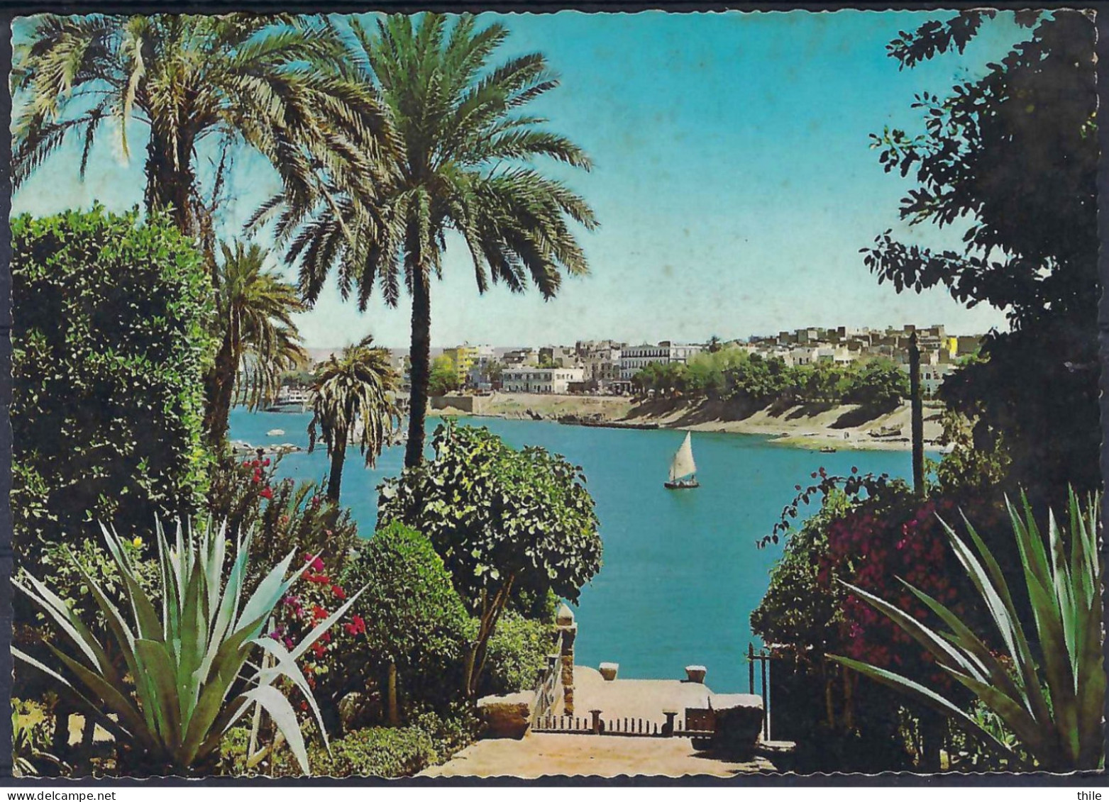 ASWAN - ASSOUAN - View Of The Nile - Assouan