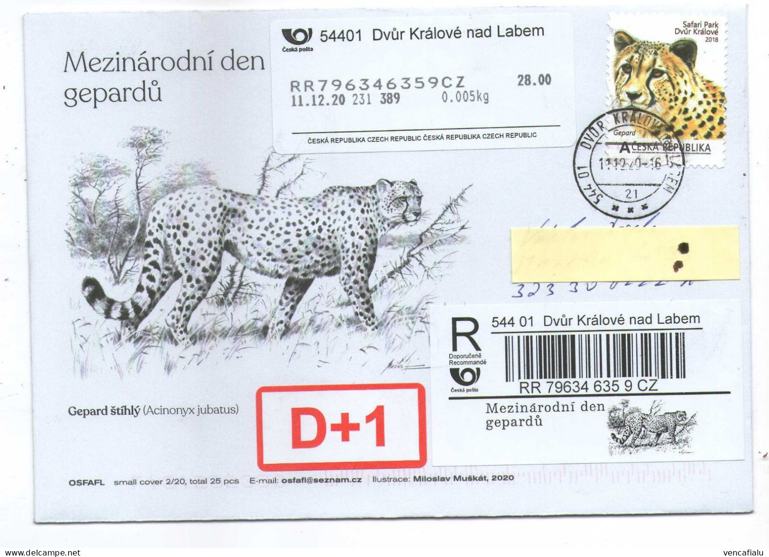 Czech Republic 2020  - Cheetahs International Day, Special Cover, Spec. Reg. Label, Peronalised Stamp, Apost - Felinos