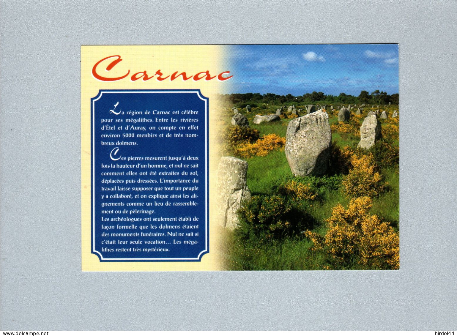 Carnac (56) : Les Menhirs De Carnac - Dolmen & Menhirs
