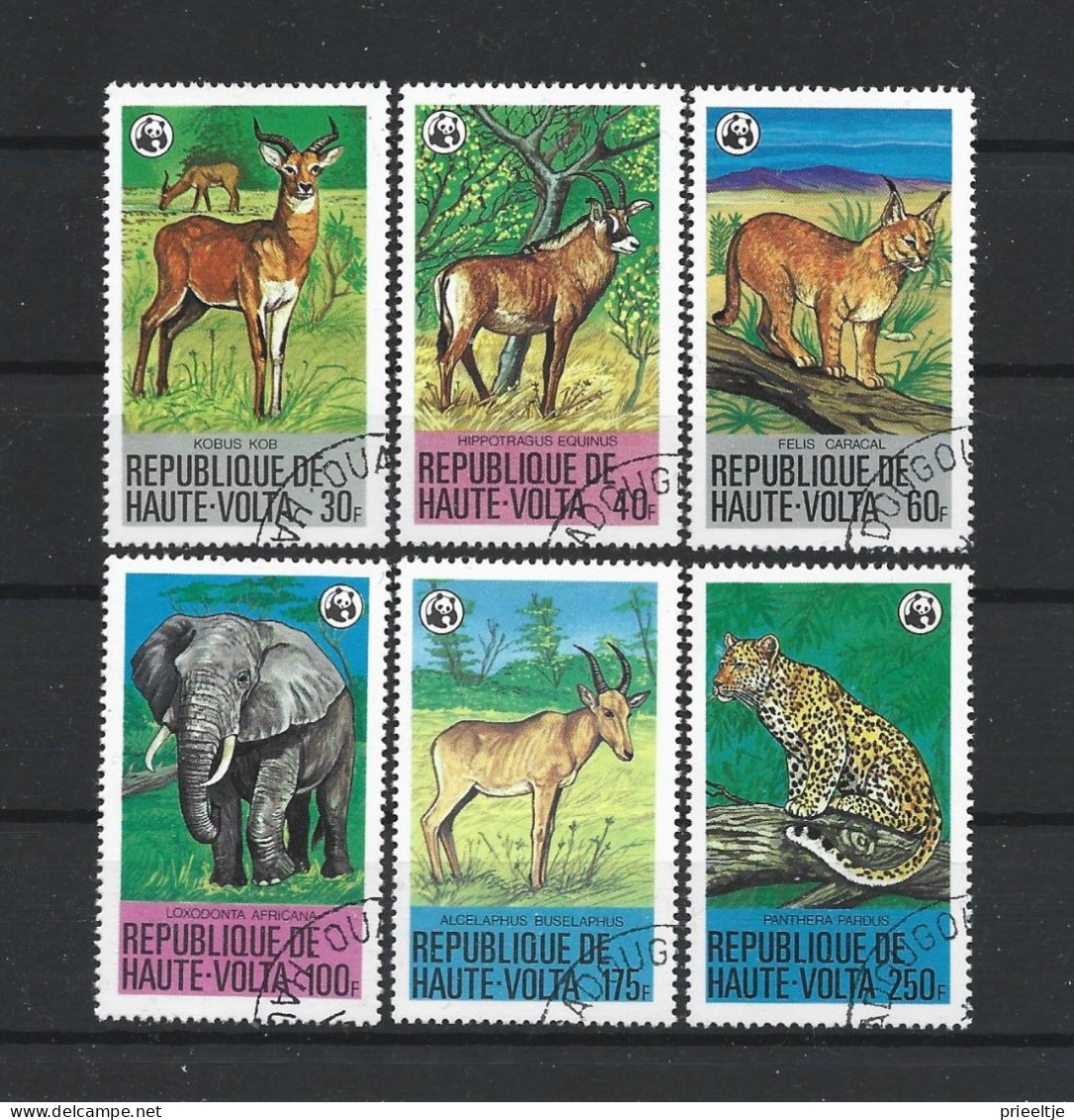 Haute-Volta 1979 WWF Animals  Y.T. 488/493 (0) - Upper Volta (1958-1984)