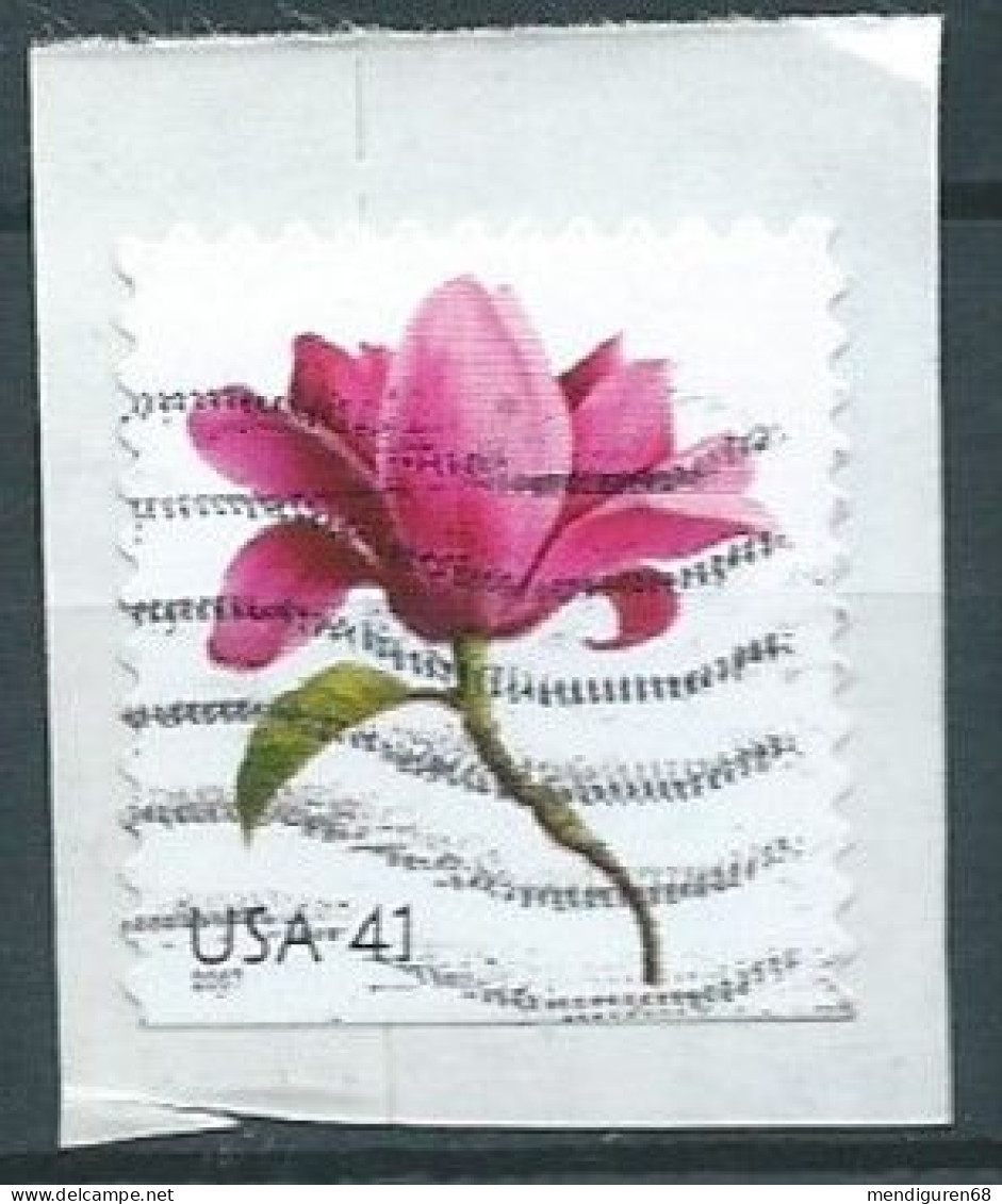 VERINIGTE STAATEN ETAS UNIS USA 2007 BEAUTIFUL BLOOMS: MAGNOLIA 41¢ USED ON PAPER  SC 4178 YT 3969A MI 4292 SG 4770 - Usados