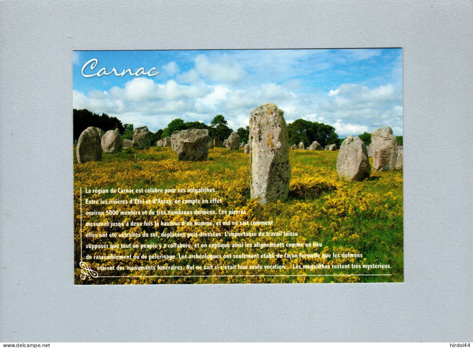 Carnac (56) : Les Alignements De Menhirs - Dolmen & Menhire