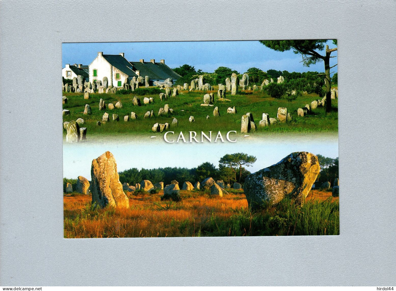 Carnac (56) : Les Alignements De Menhirs - Dolmen & Menhire