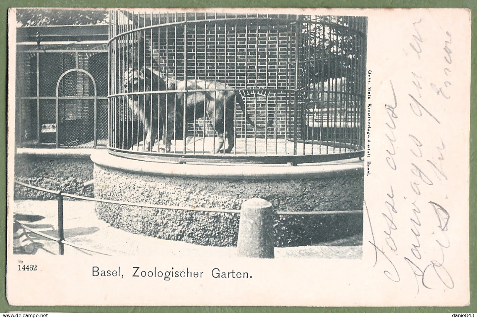 CPA Dos Précurseur Peu Courante - SUISSE - BASEL - ZOOLOGISCHER GARTEN - Cage Au Lion (Löwenkäfig) - Bâle