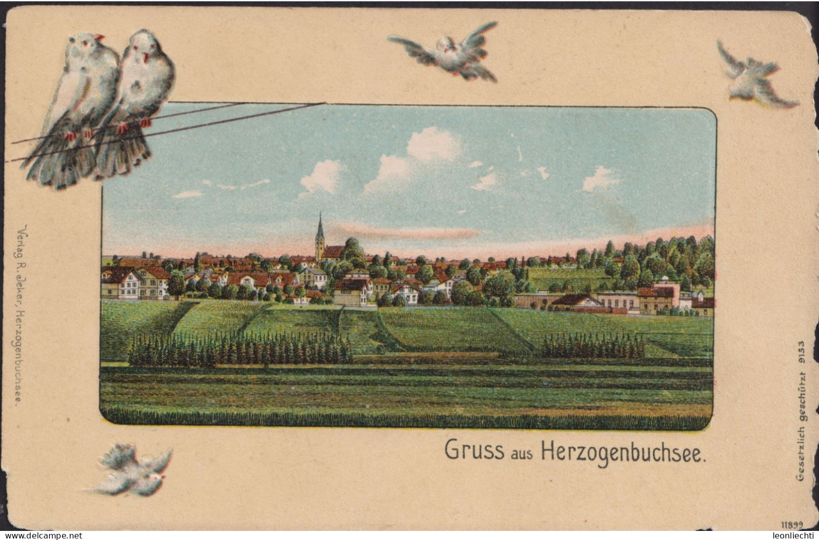 Gruss Aus Herzogenbuchsee ⵙ  FELDPOST 19.Xl.24, - Herzogenbuchsee