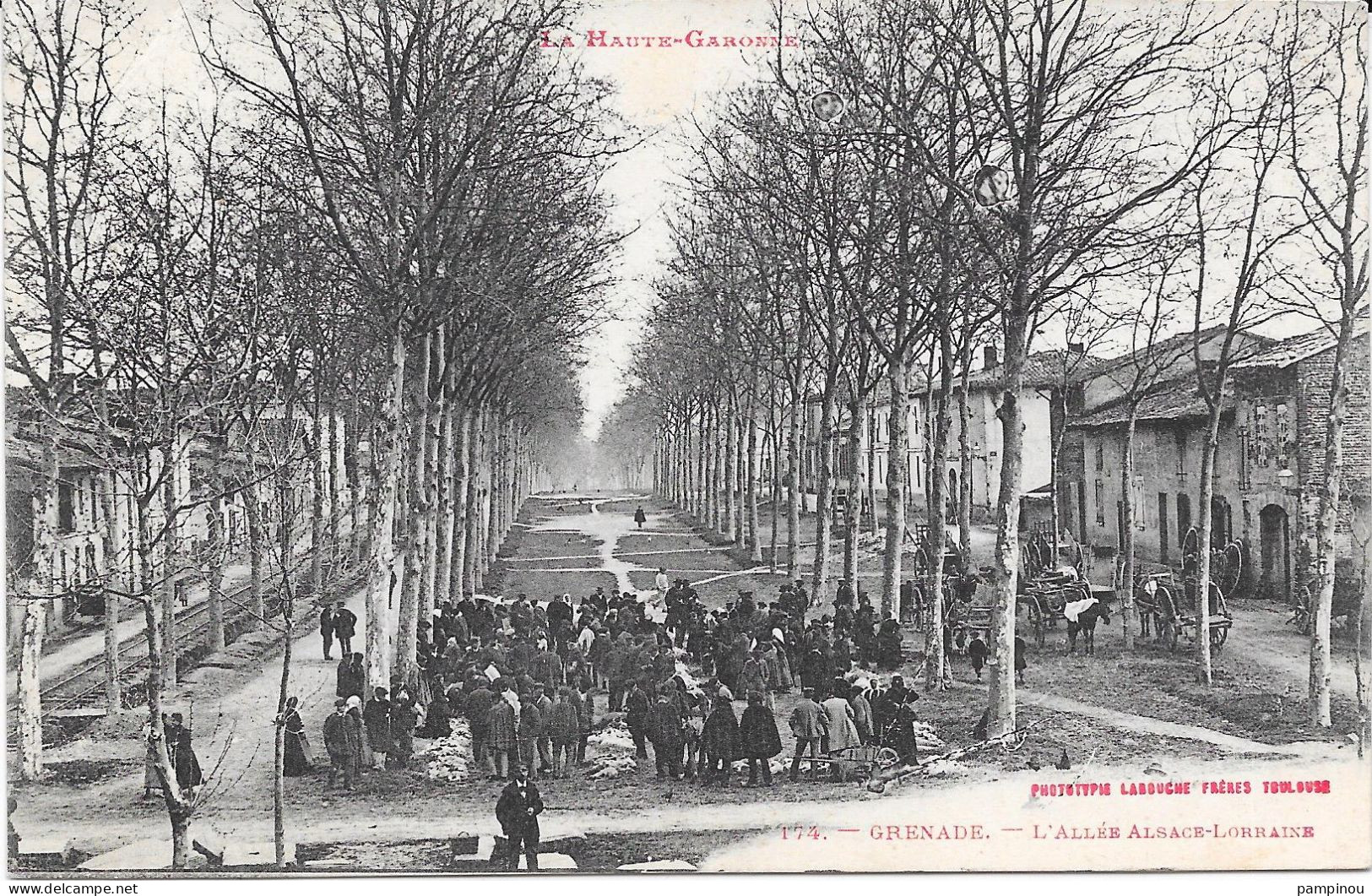 31 - GRENADE - Marché, Allée Alsace Lorraine - Animée - Other & Unclassified
