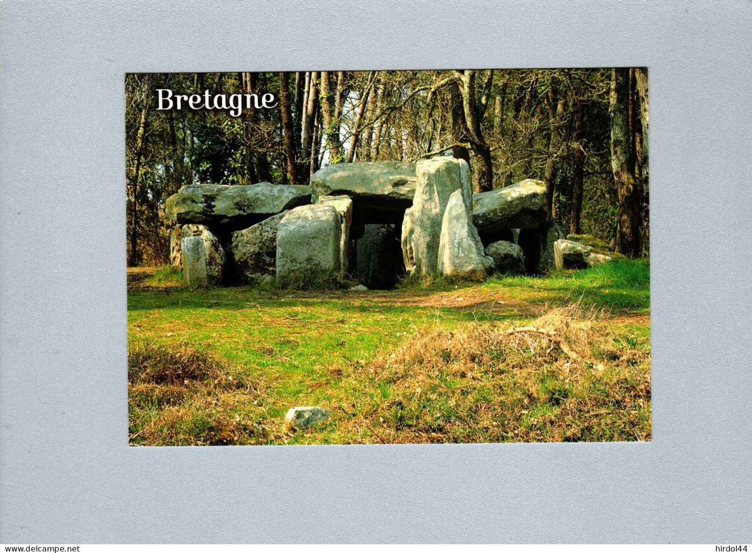 Carnac (56) : Un Dolmen - Carnac