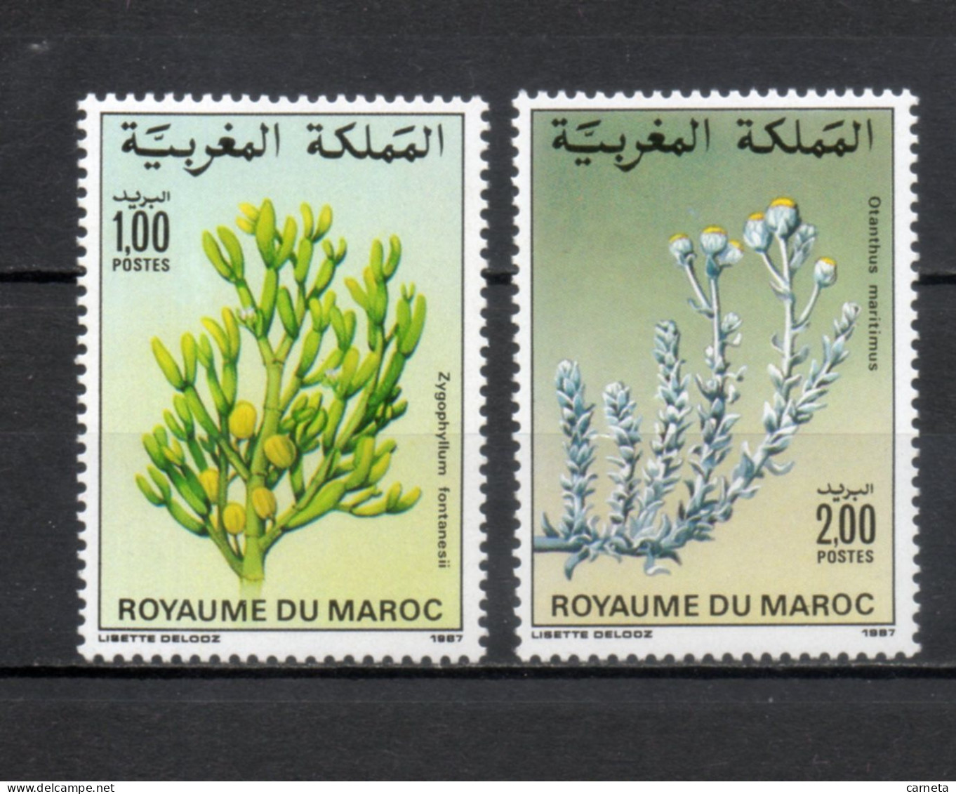 MAROC N°  1031 + 1032    NEUFS SANS CHARNIERE  COTE 2.50€    FLEUR FLORE - Marokko (1956-...)