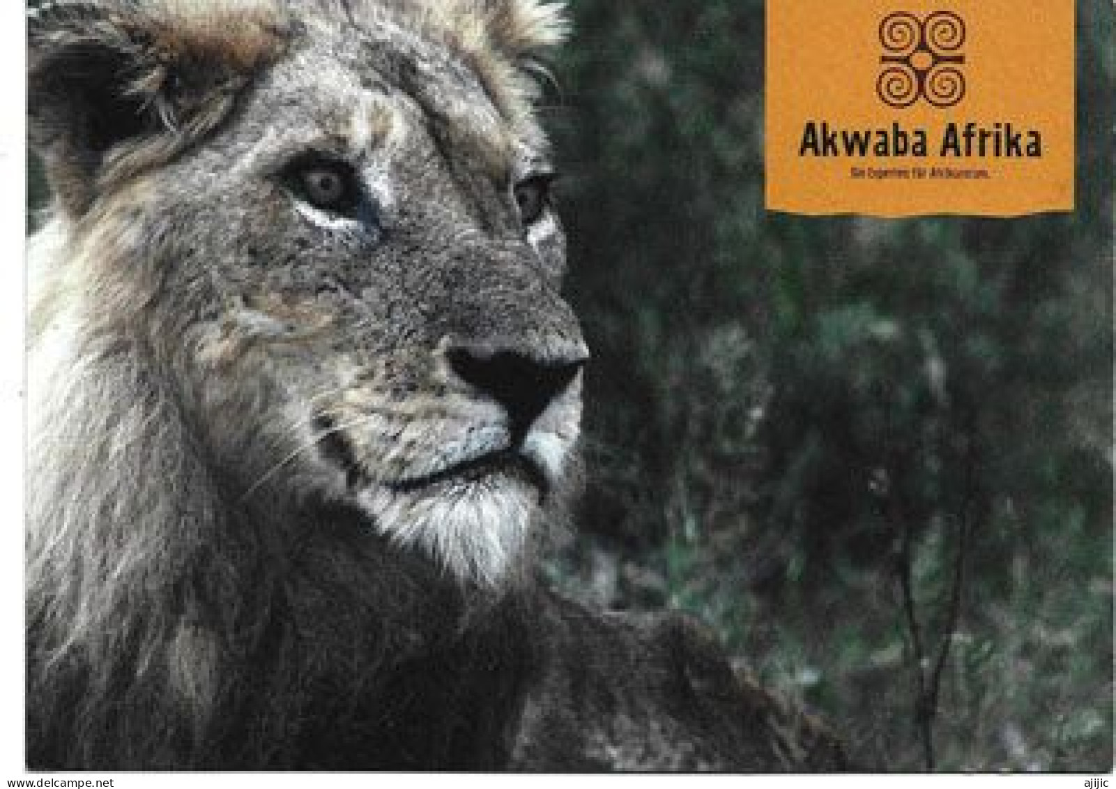 AKWABA AFRIKA  (LION)   Postcard.   New-unused - Leeuwen