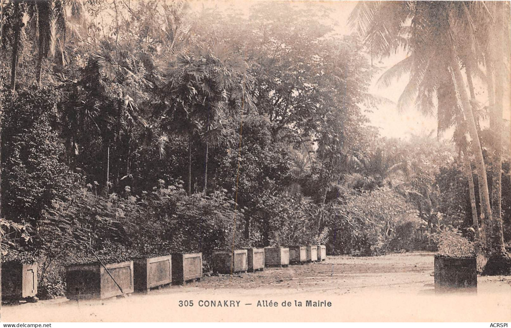 GUINEE Francaise  Conakry Allee De La Mairie (scan Recto Verso ) Nono0027 - Guinea