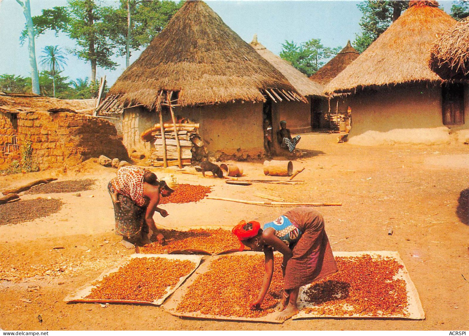  La Vie Au Village Bamako Sikasso Zangaradougou (scan Recto Verso)NONO0018 - Mali