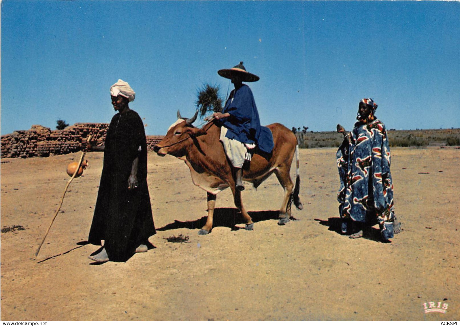  Scene Africaine Bamako Sikasso Zangaradougou (scan Recto Verso)NONO0018 - Mali