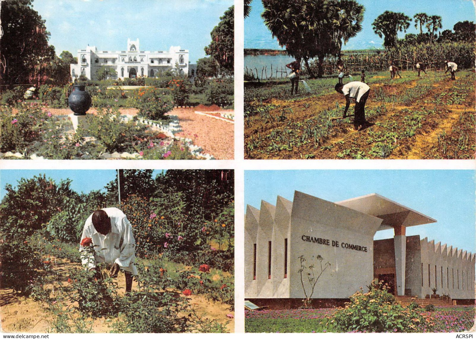 Niger Palais Presidence Agriculture Traditionnelle Au Niger Chambre Des Commerce De Niamey(scan Recto Verso)NONO0008 - Niger