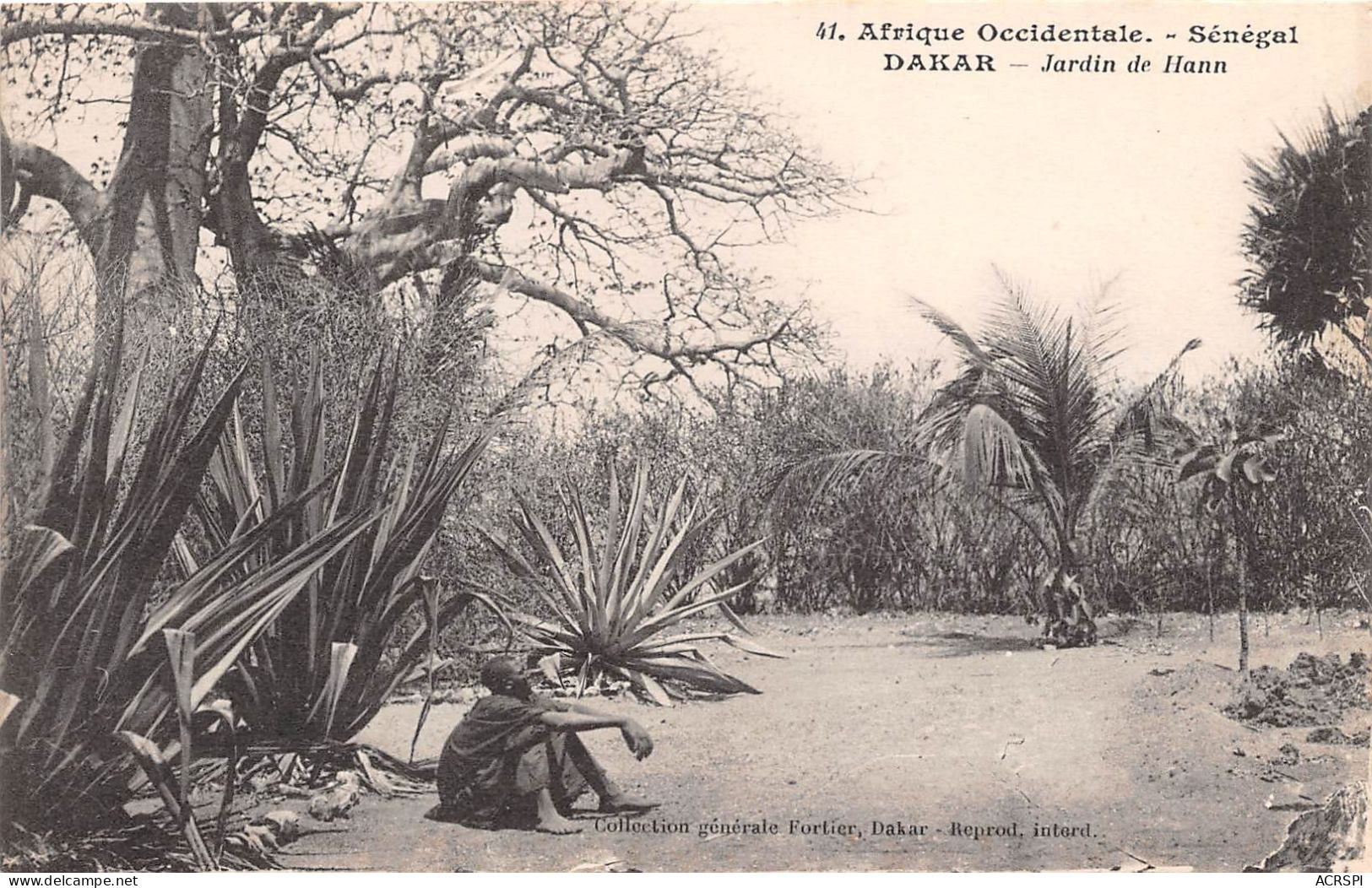 Afrique Occidentale Senegal Dakar Jardin De Hann (scan Recto Verso)NONO0006 - Sénégal