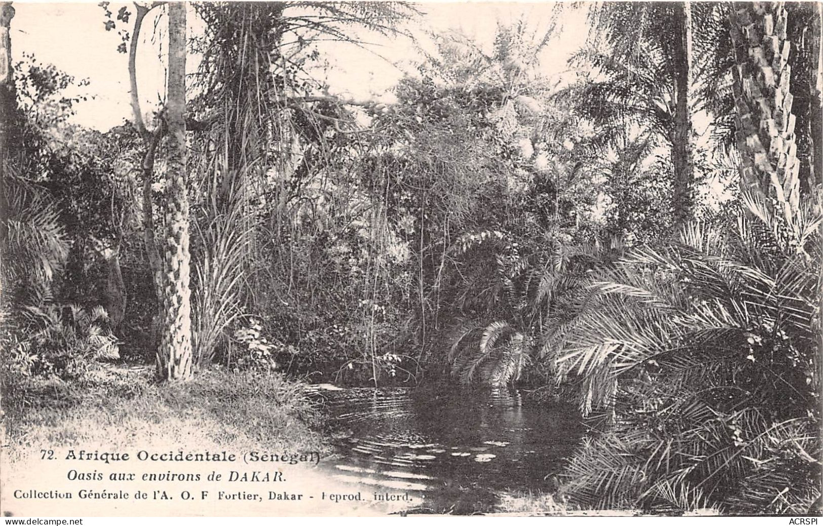 Afrique Occidentale Senegal Dakar Oasis (scan Recto Verso)NONO0006 - Senegal