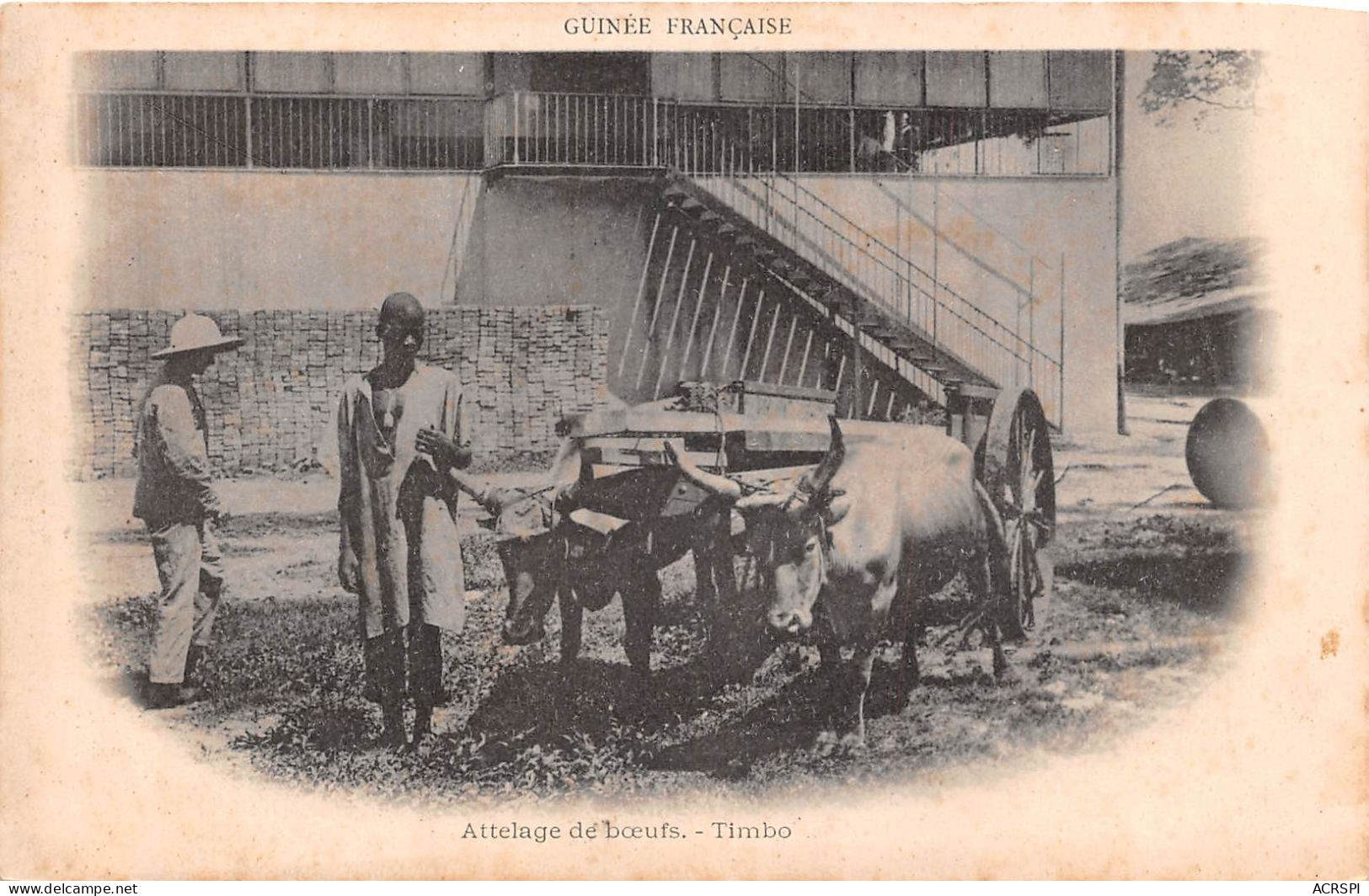 Guinee Attelage De Boeuf Timbo( Scan Recto Verso)NONO0005 - Guinée