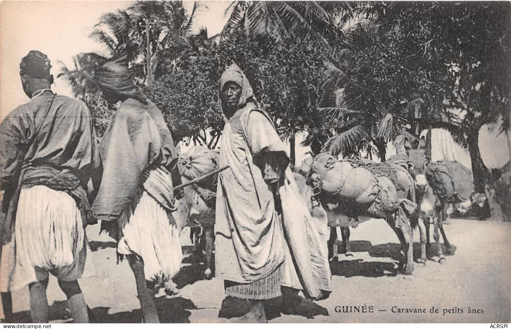 Guinee Caravane De Petits Anes  (scan Recto Verso ) Nono0037 - Guinea