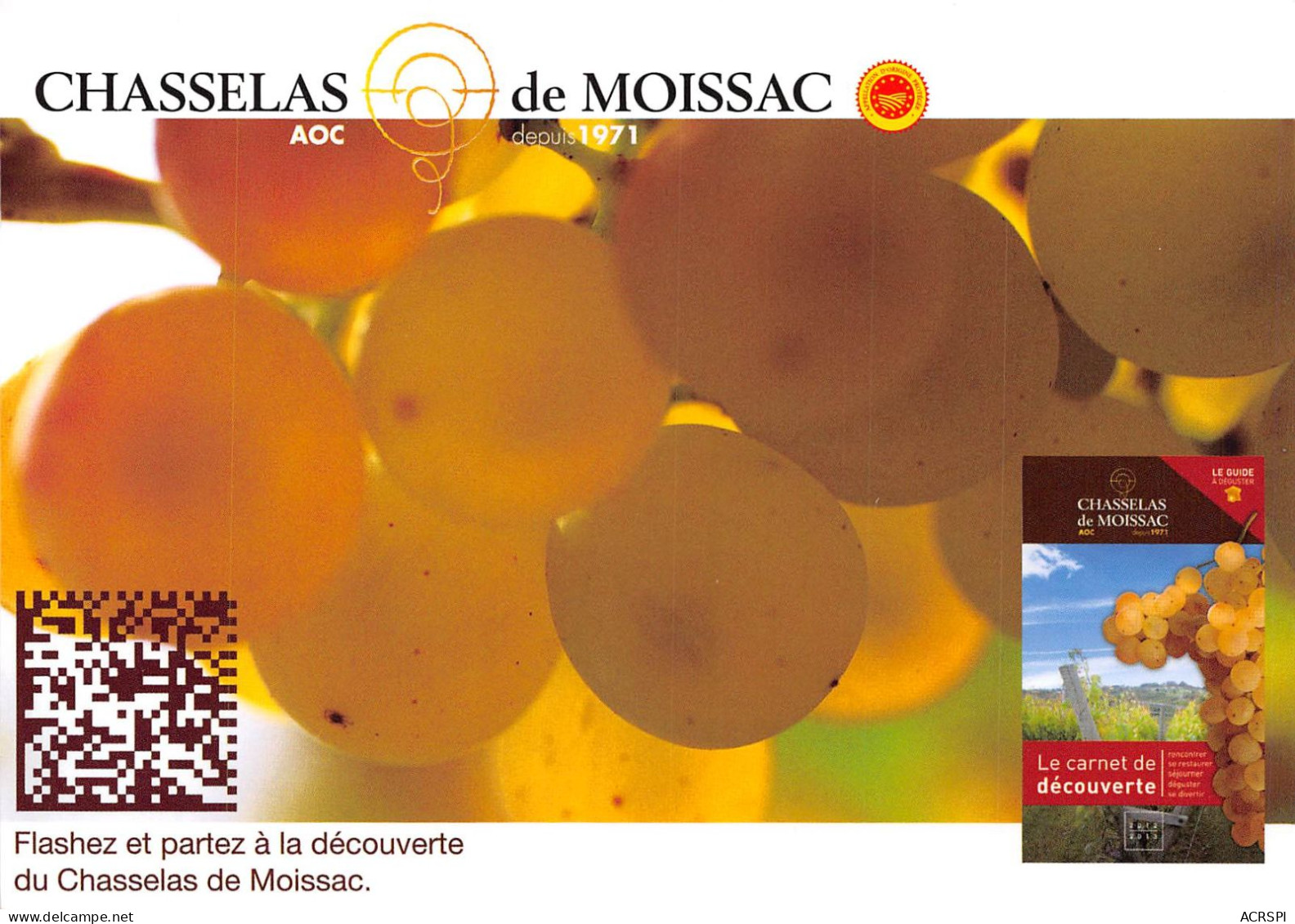 Chasselas De Moissac (scan Recto Verso ) Nono0035 - Moissac