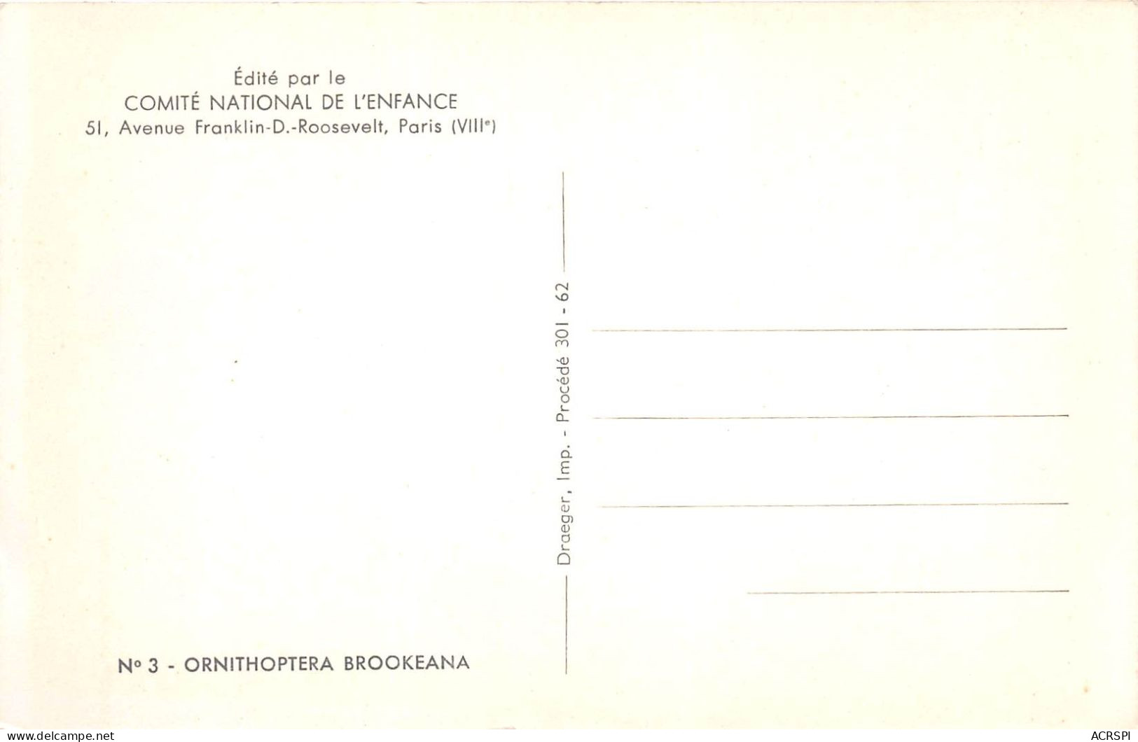 Papillon Ornithoptera Brookeana  (scan Recto Verso ) Nono0031 - Autres & Non Classés