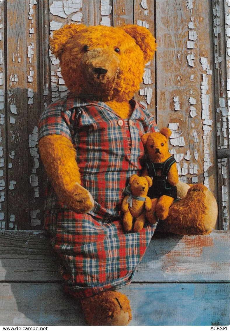 Teddy Aus Der Sammlung Christa Und Marten SCHULZE Fotografiert Von Christia KREUTER(SCAN RECTO VERSO)NONO0086 - Spielzeug & Spiele