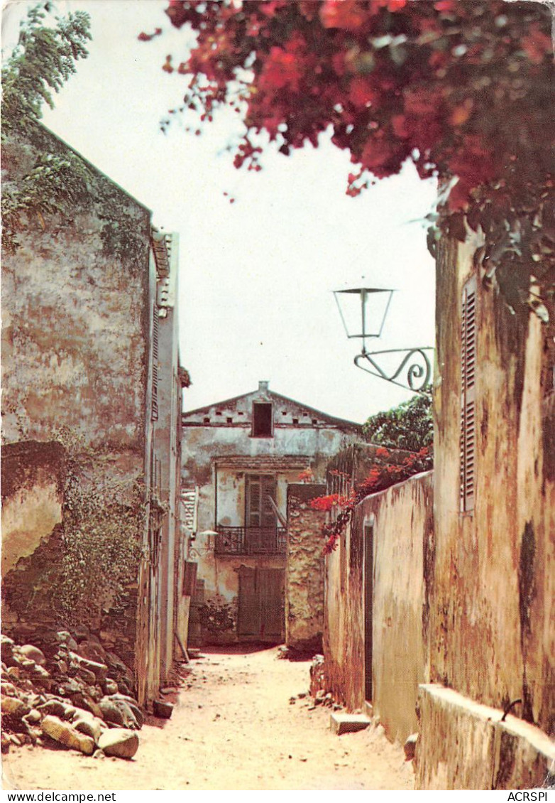 SENEGAL Rue De L Eglise Ile De Goree Image Du Senegal (SCAN RECTO VERSO)NONO0066 - Sénégal