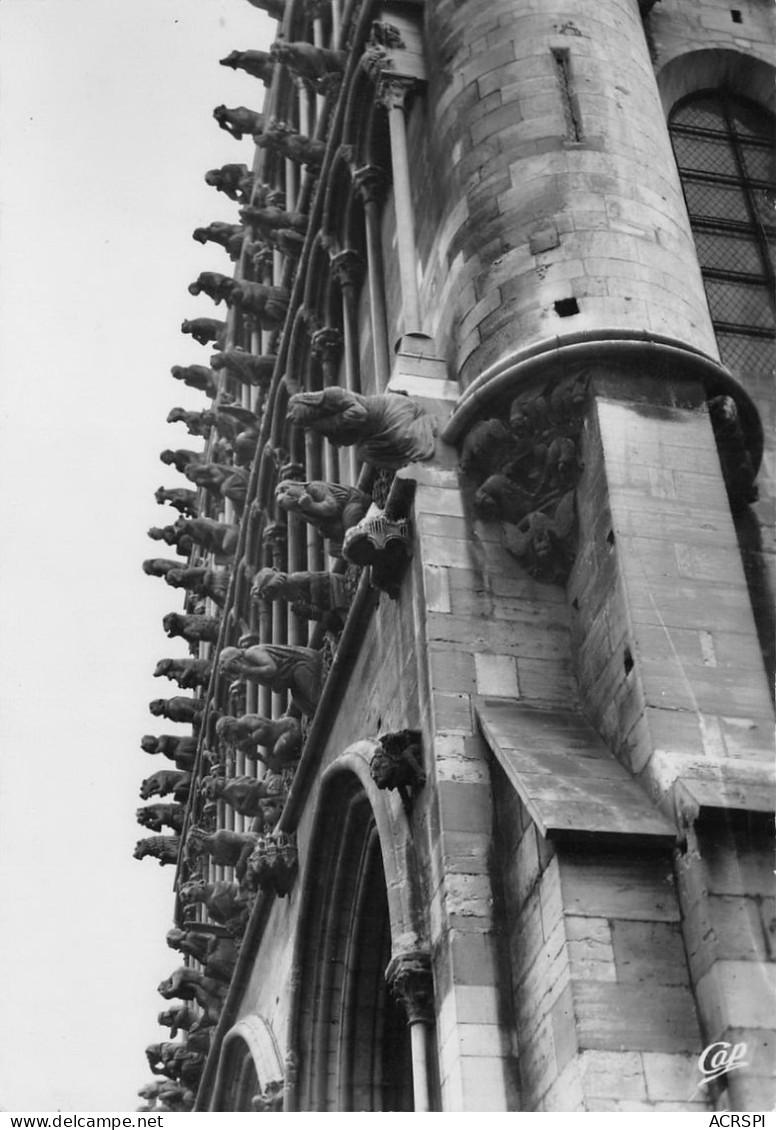 DIJON  Facade De L'église Notre Dame Les GARGOUILLES  Chimères  57 (scan Recto Verso)nono0102 - Dijon