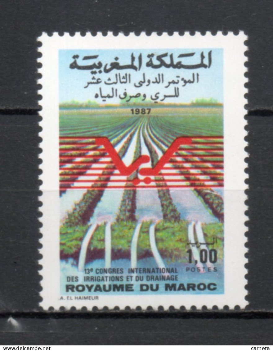 MAROC N°  1037   NEUF SANS CHARNIERE  COTE 0.70€   IRRIGATION EAU - Marruecos (1956-...)