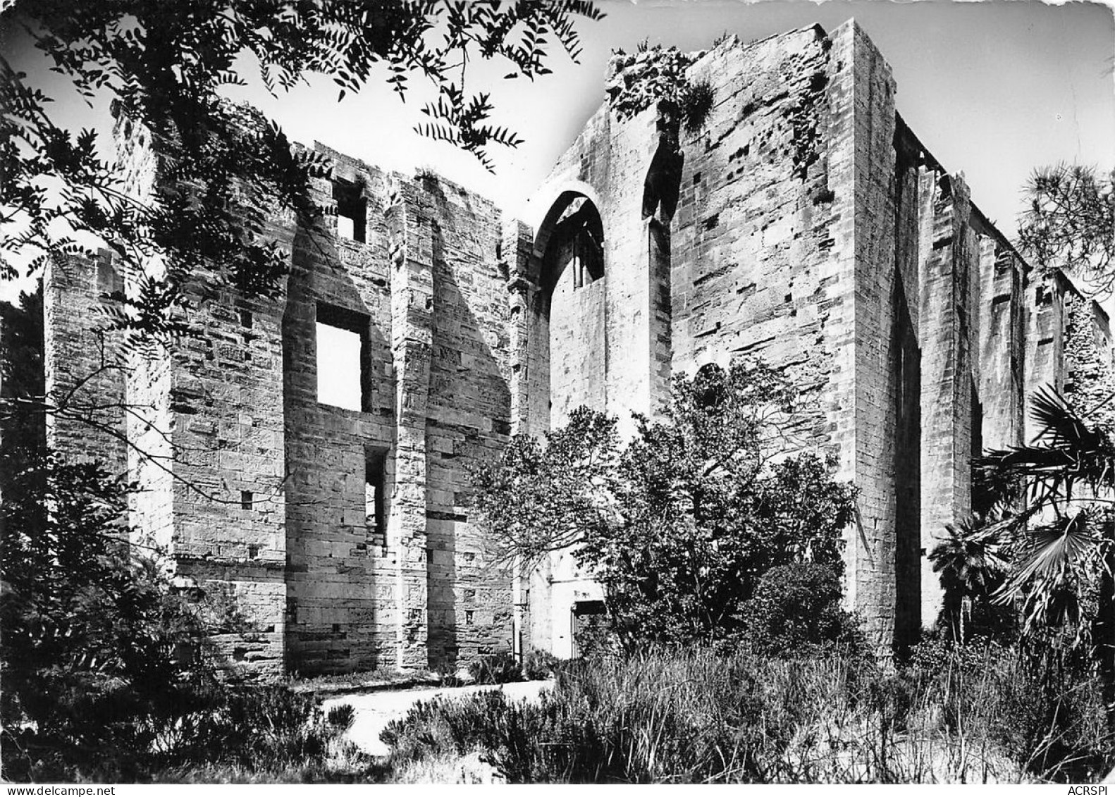 PALAVAS LES FLOTS Ancienne Cathedrale Villeneuve-lès-Maguelone   37 (scan Recto Verso)nono0109 - Palavas Les Flots