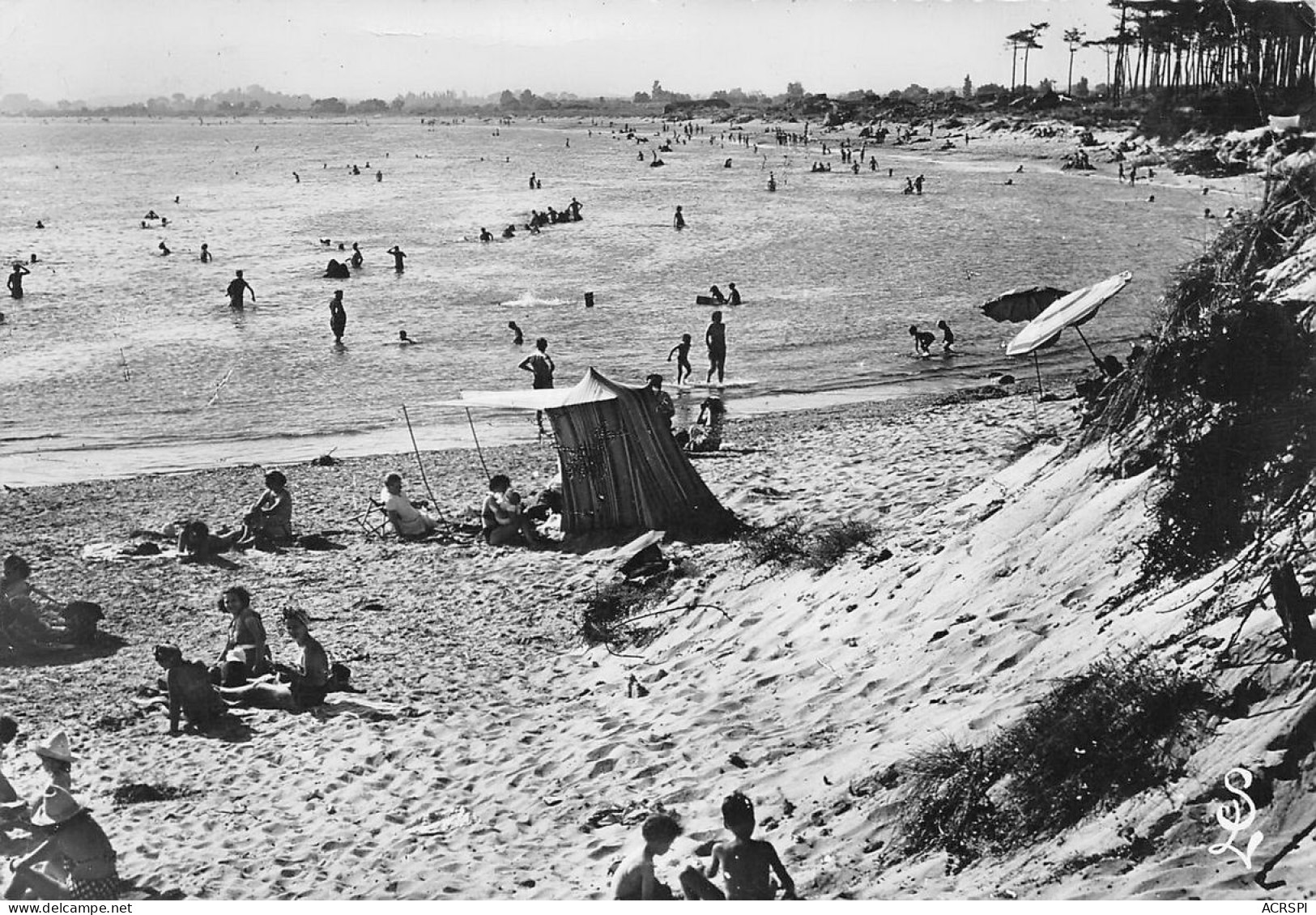 AGDE   La Plage De La Tamarissière  61 (scan Recto Verso)nono0108 - Agde