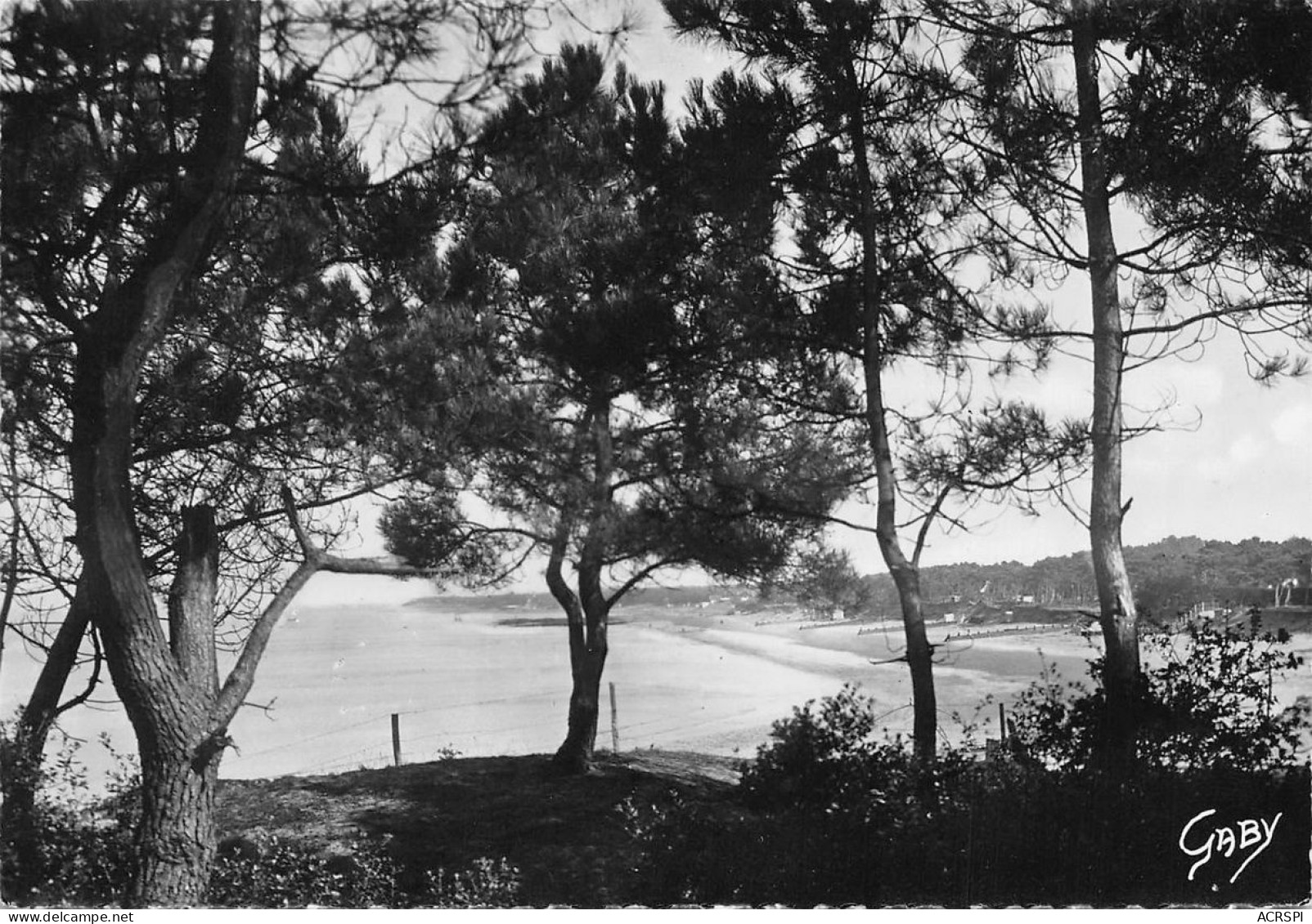 SAINT BREVIN L' OCEAN  Vue D'ensemble De La Plage Sous Les Pins  36 (scan Recto Verso)nono0127 - Saint-Brevin-l'Océan