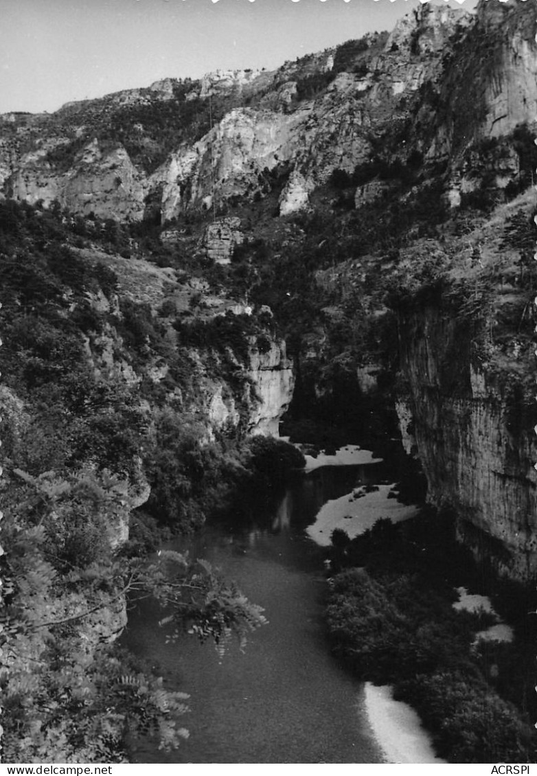 48 LA MALENE  Les Détroits Point Sublime 35 (scan Recto Verso)nono0122 - Gorges Du Tarn