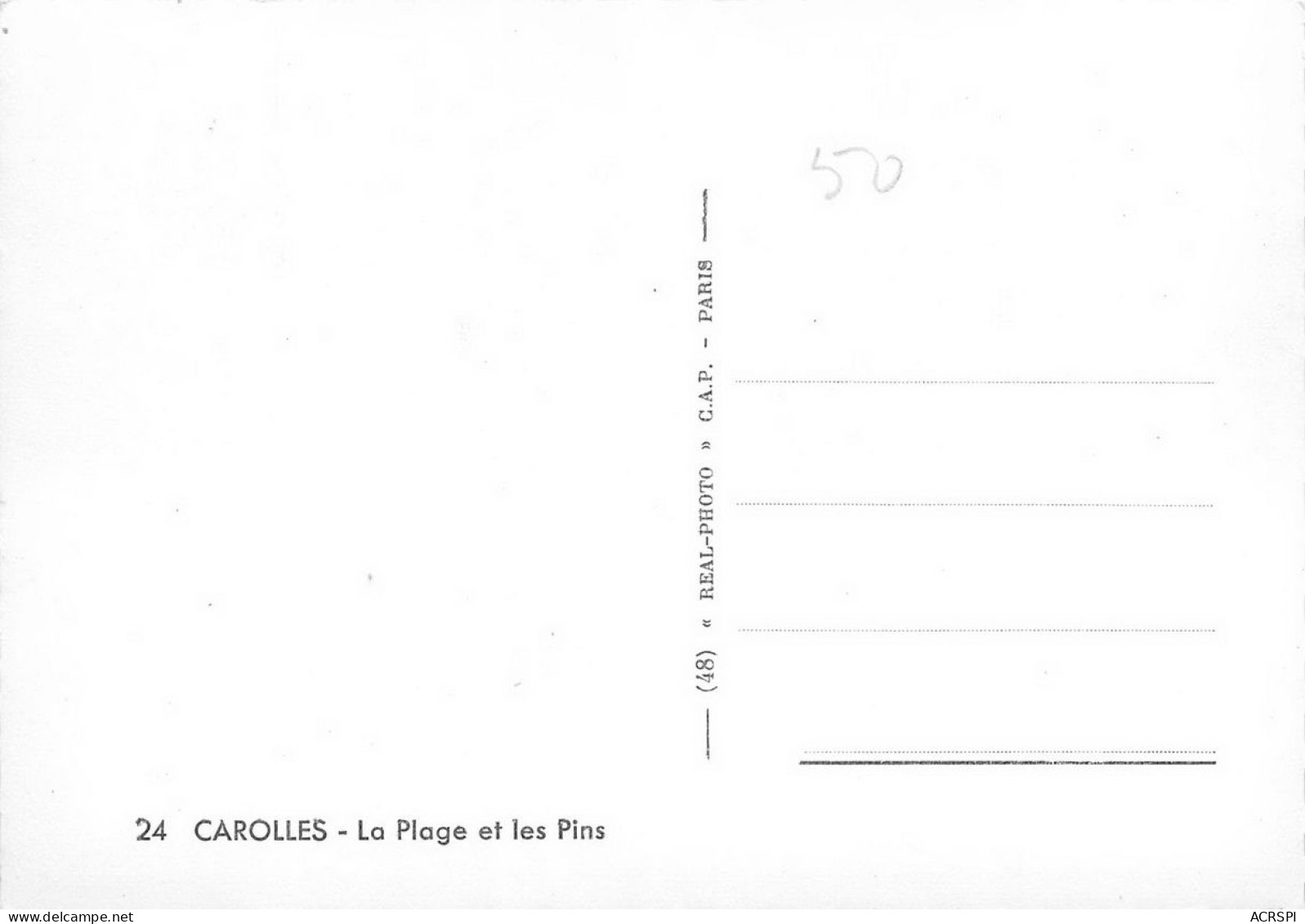 50 CAROLLES La Plage Et Les Pins   8 (scan Recto Verso)nono0130 - Sonstige & Ohne Zuordnung