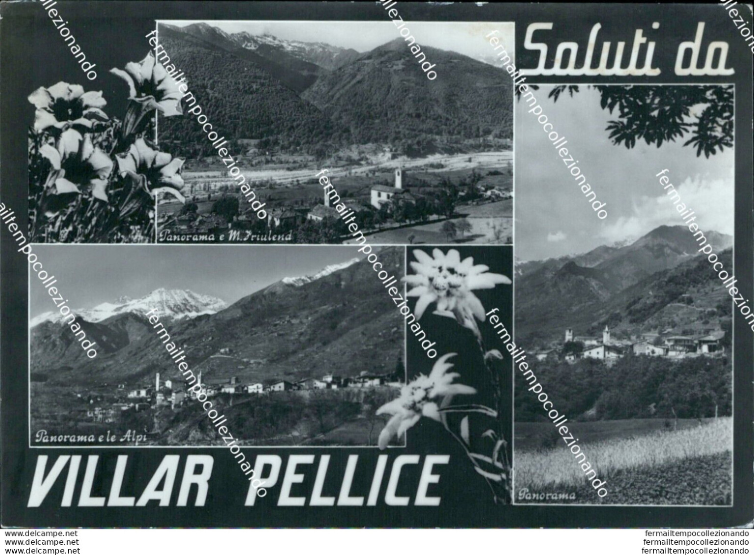 Bb214  Cartolina Saluti Da Villar Pellice Torino Piemonte - Sonstige & Ohne Zuordnung