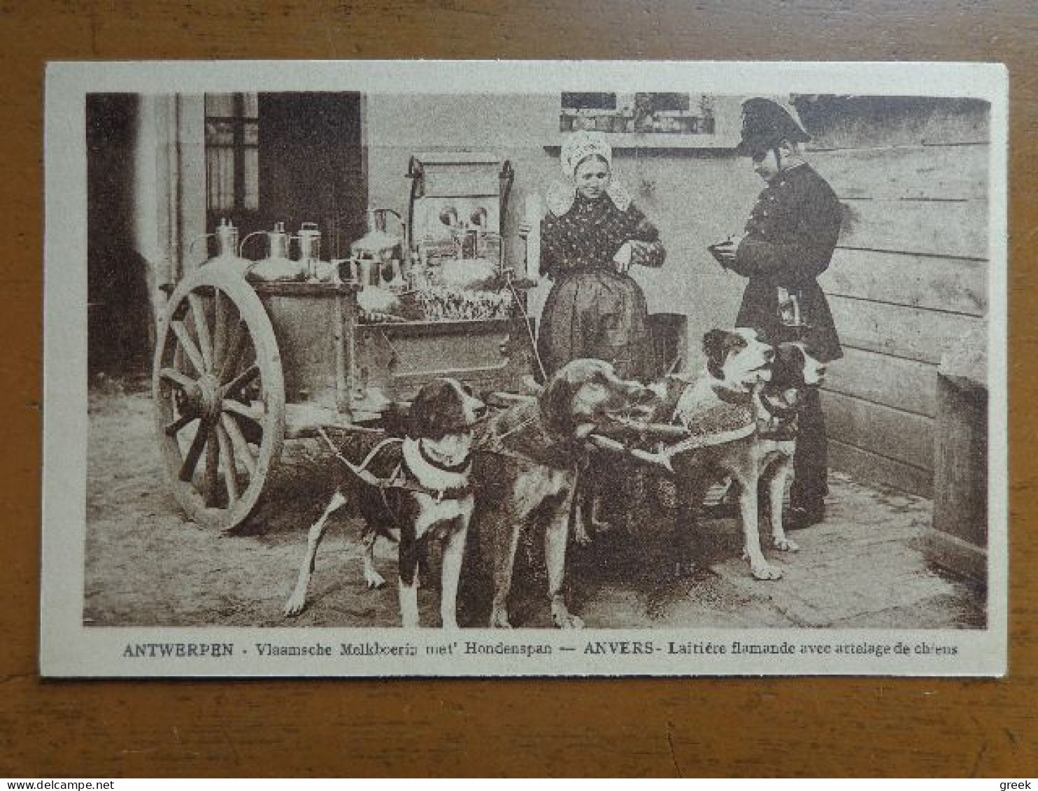 Antwerpen - Anvers: Vlaamsche Melkboerin Met Hondenspan (hond, Dog, Chien) -> Beschreven 1913 - Antwerpen